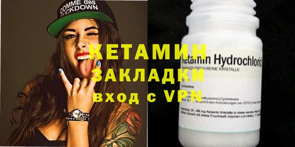 хмурый Аркадак