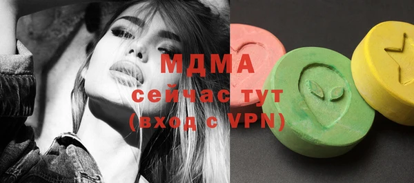 хмурый Аркадак