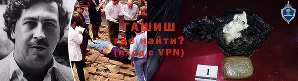 хмурый Аркадак
