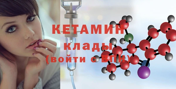 хмурый Аркадак