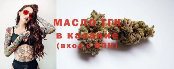 хмурый Аркадак