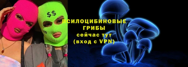 PSILOCYBIN Арсеньев
