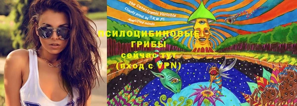 трава Армянск