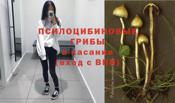 трава Армянск