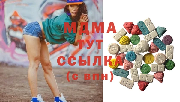 хмурый Аркадак