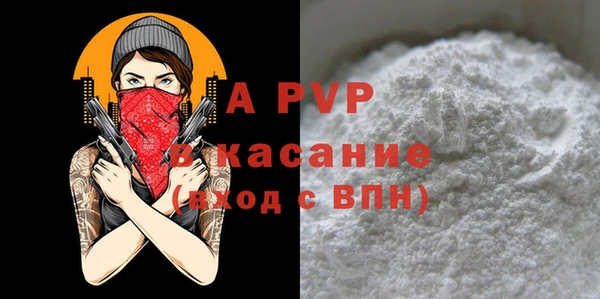 хмурый Аркадак