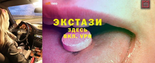 хмурый Аркадак