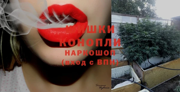 хмурый Аркадак