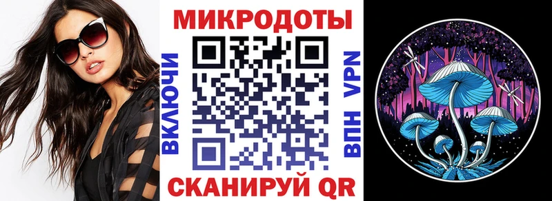 где найти наркотики  Поронайск  Псилоцибиновые грибы Psilocybe 